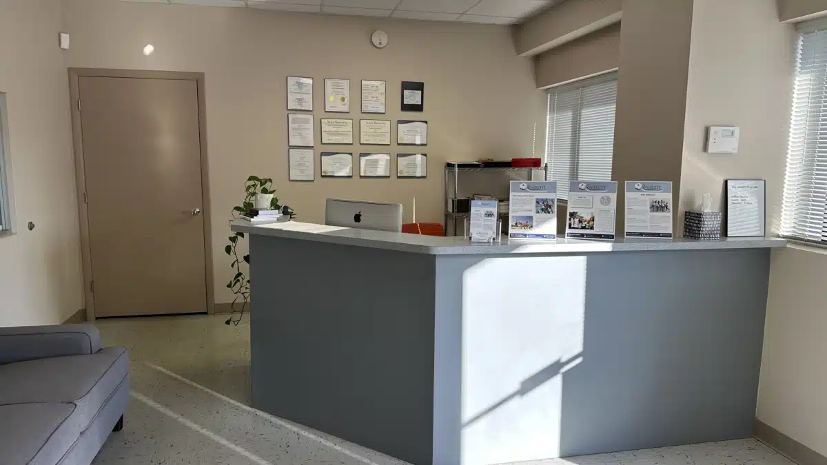 Insight Program - Preview